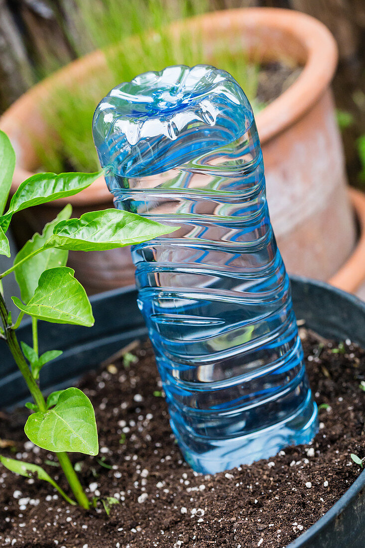 Watering system made from reused plastic bottle