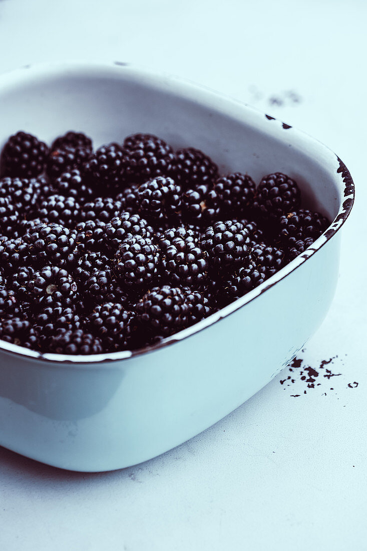 Blackberries in bowl