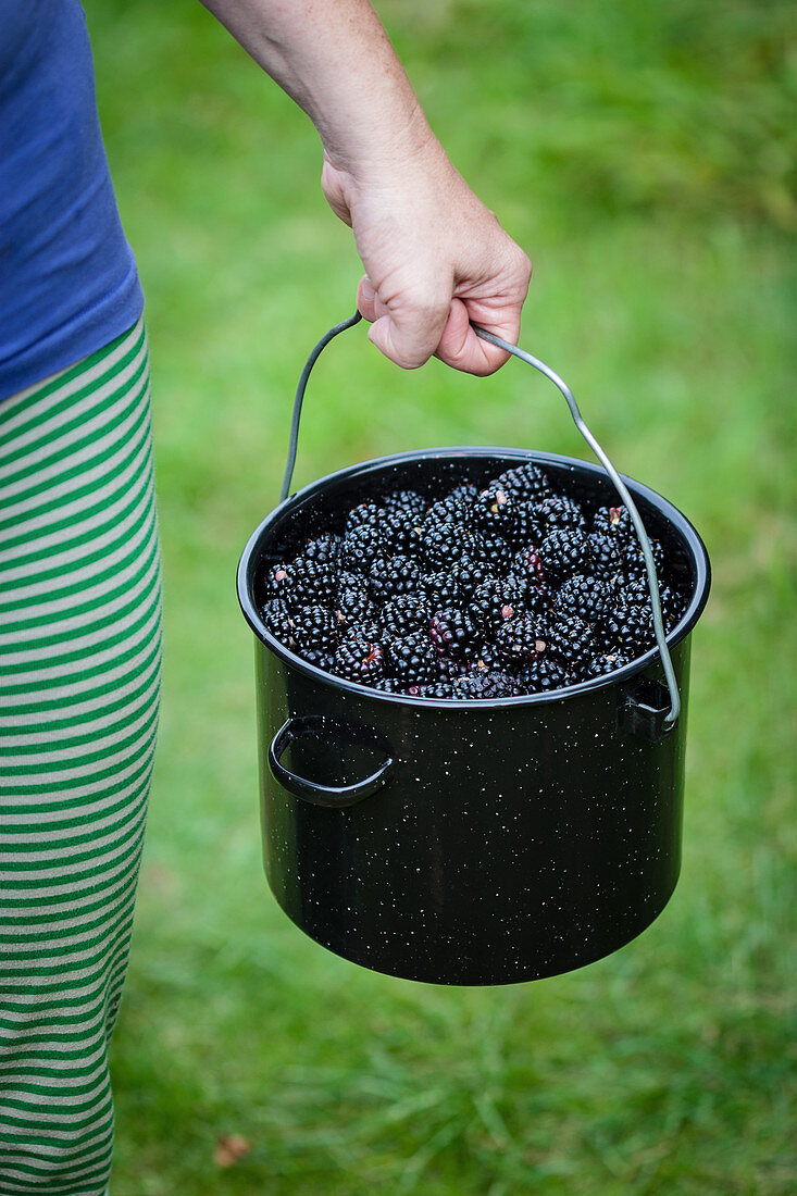 A woman carrying a pot of freshly picked blackberries