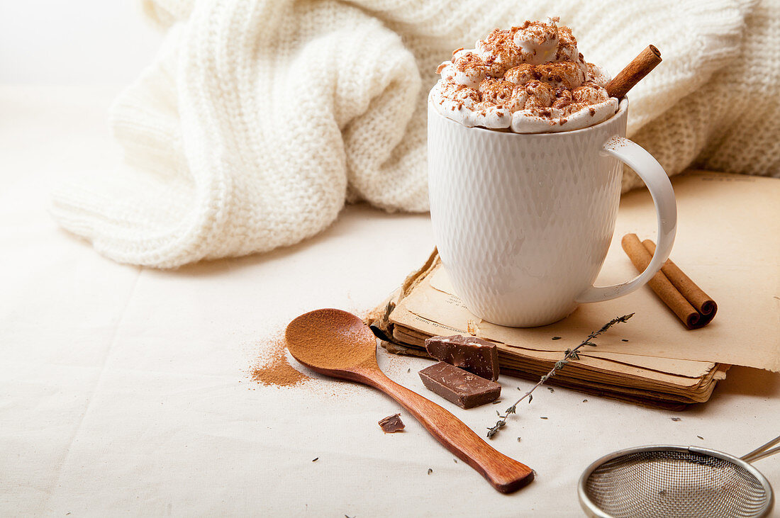 Cup of Scandinavian hot chocolate with cinnamon, whipped cream and chocolate