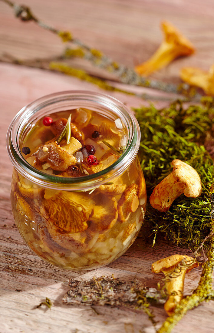 Chanterelle mushrooms picked in vinegar with garlic, herbs and spices