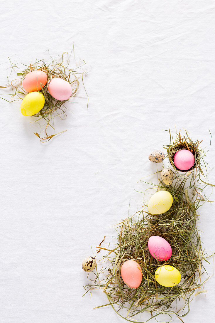 An Easter nest with coloured chicken eggs and quail's eggs