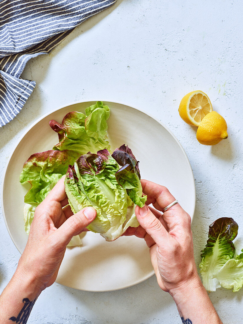 Salat zerpflücken