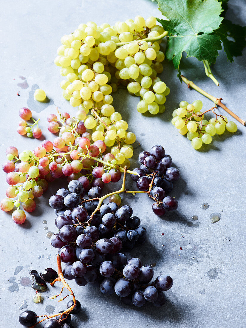 Red and green sonoma grapes on a light background