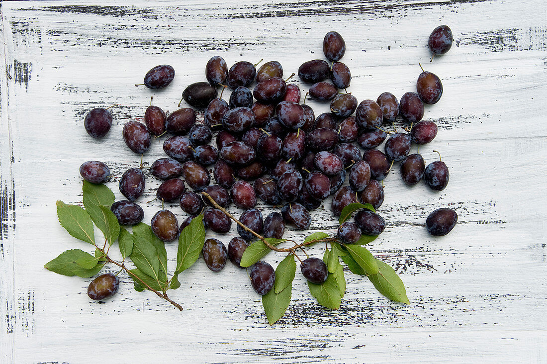 Damsons with leaves on a rustic wooden surface