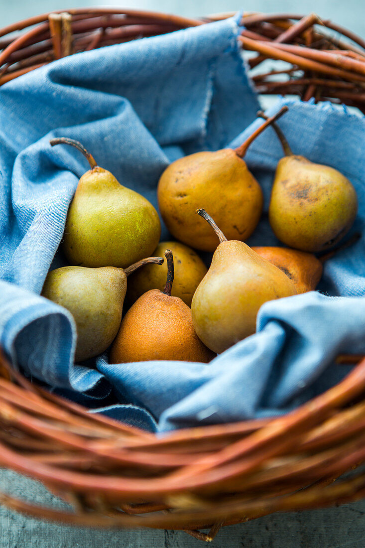 Basket of Pears