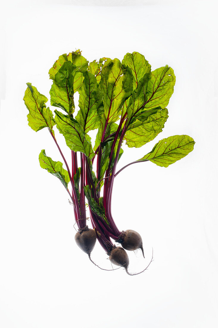 Small beetroots
