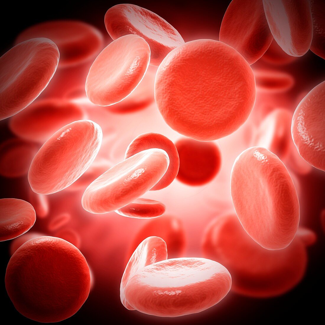 Red blood cells, illustration