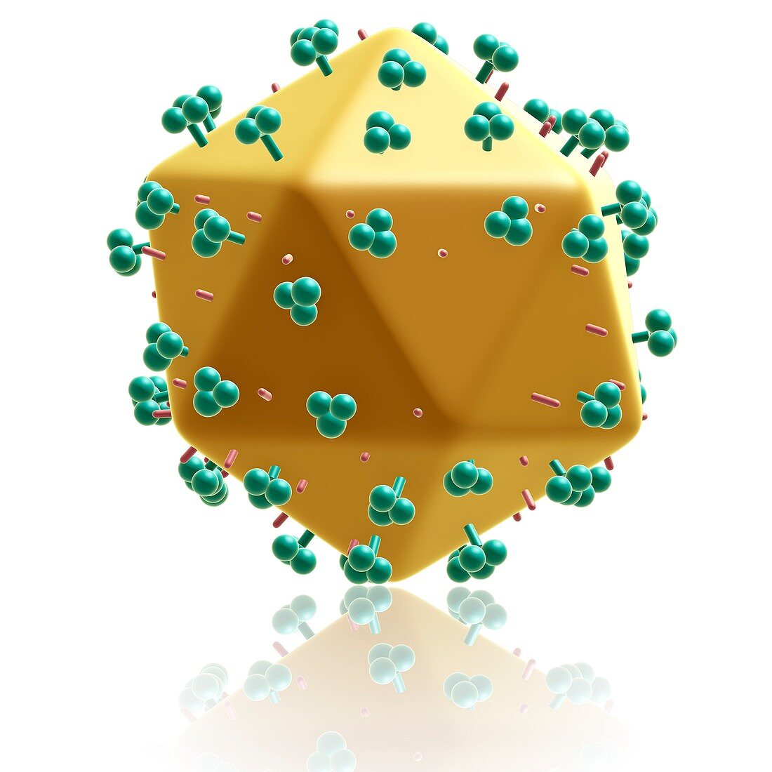 AIDS virus particle, illustration