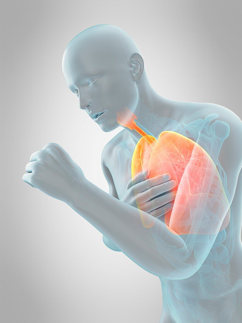 Anatomy of person coughing, illustration