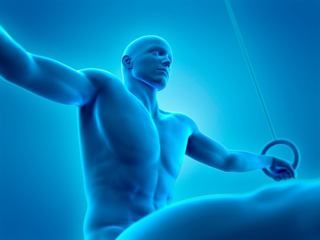 Athlete using gymnastic rings, illustration