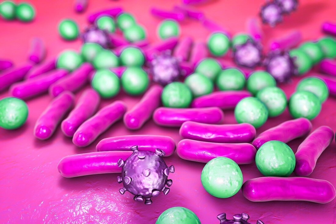 Various microbes, illustration