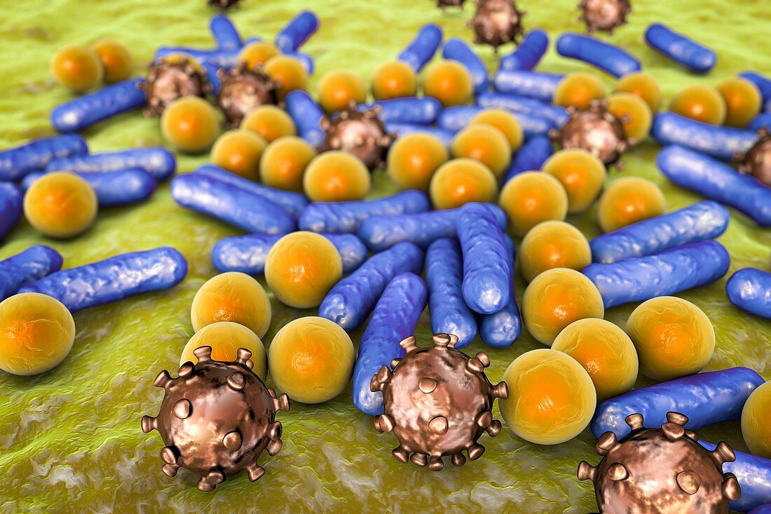 Various microbes, illustration