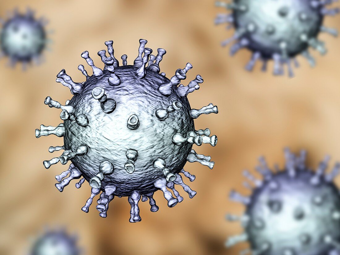 Chickenpox virus, illustration