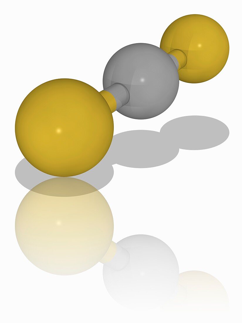 Carbon disulfide organic compound molecule