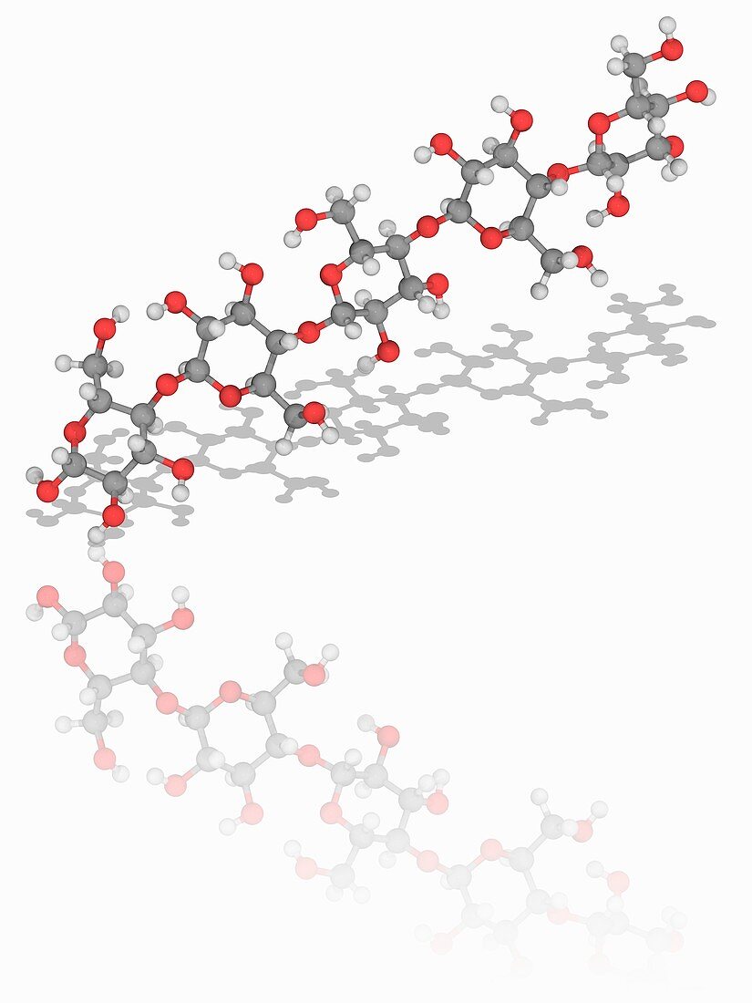 Cellulose organic compound molecule