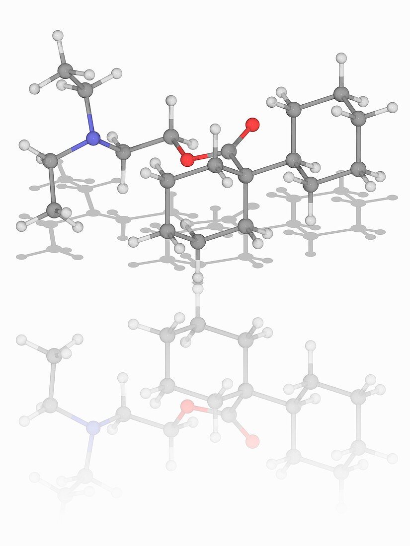 Dicyclomine (Dicycloverine) drug molecule