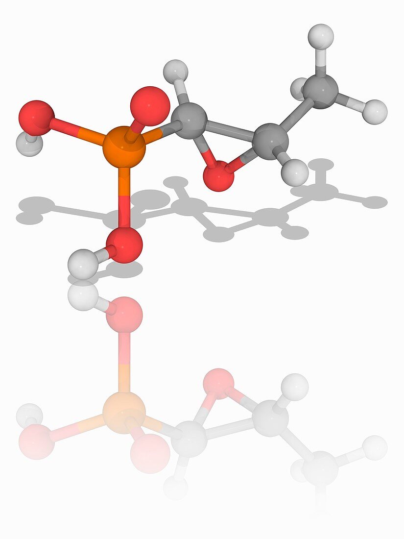 Fosfomycin (phosphomycin) drug molecule