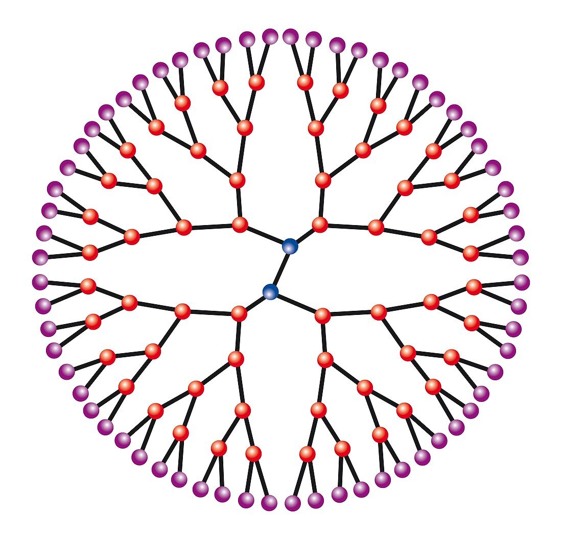 Dendrimer, illustration of the molecular