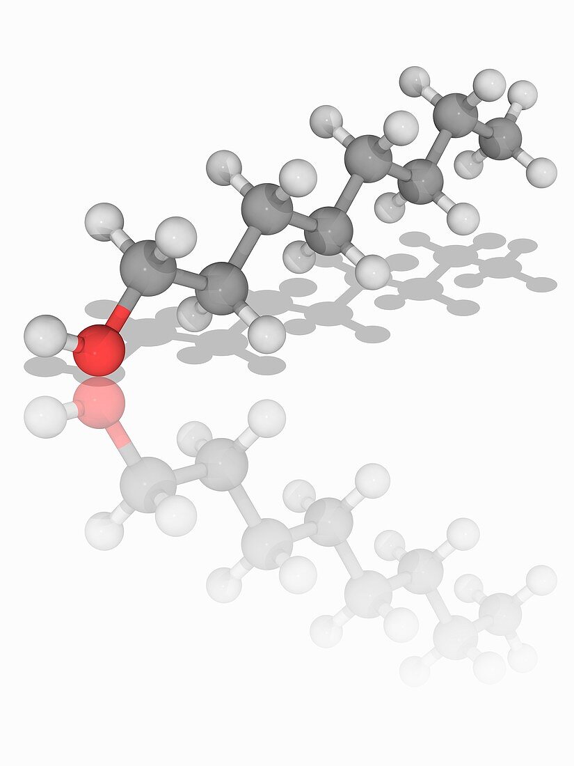 1-octanol organic compound molecule