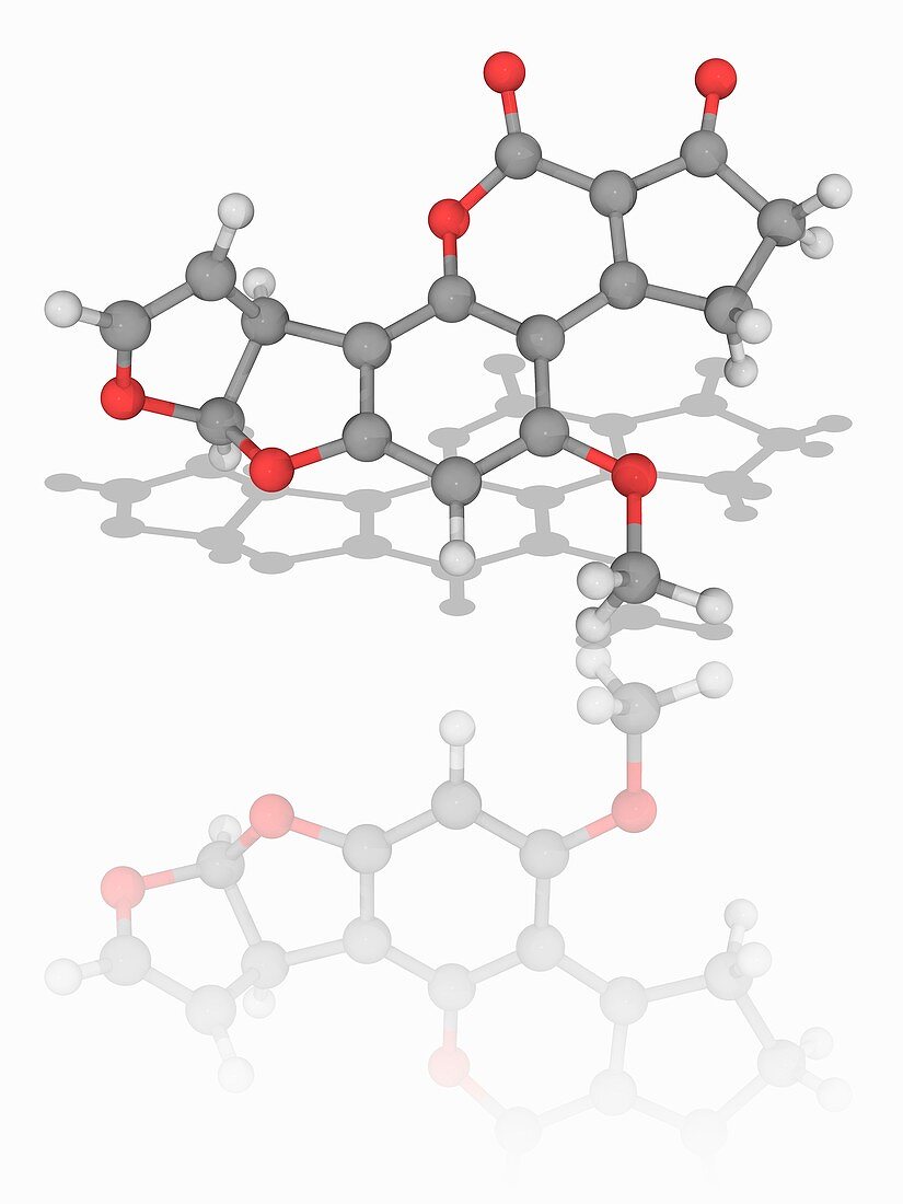 Aflatoxin B1 organic compound molecule