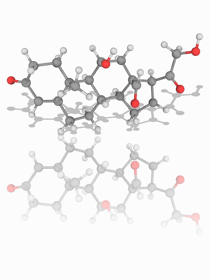 Adosterone hormone molecule