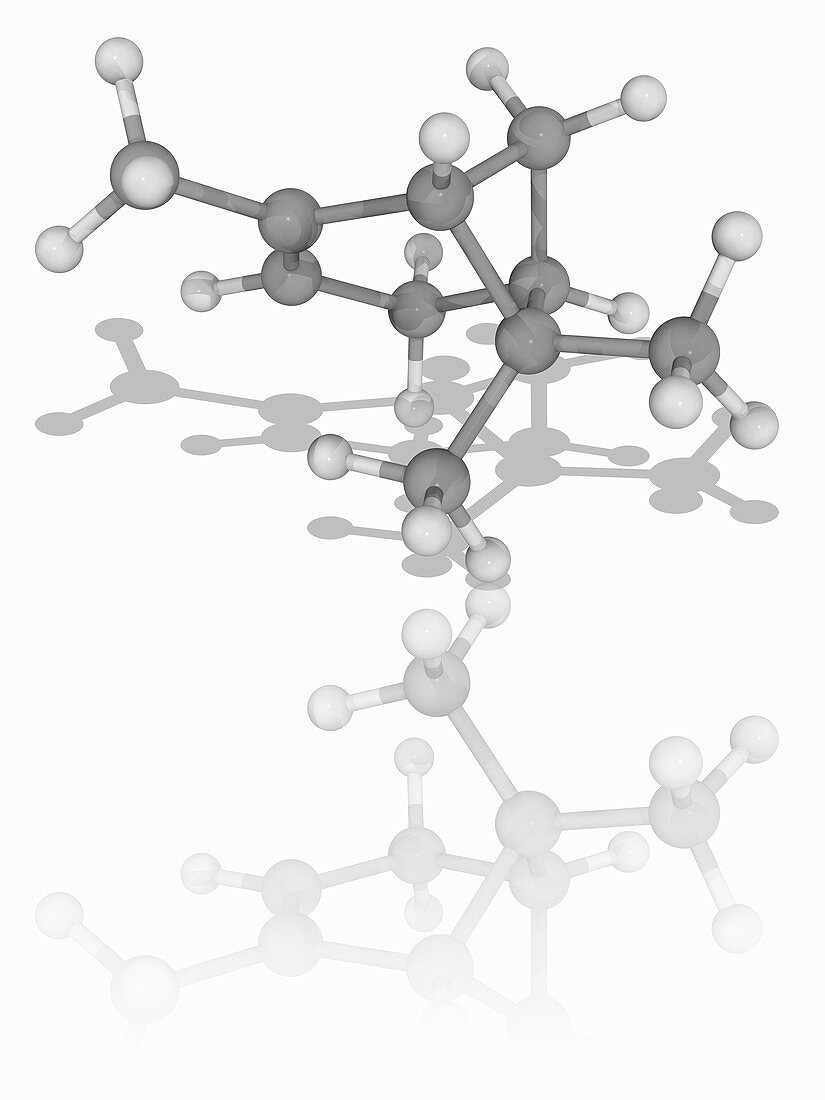 Alpha-Pinene organic compound molecule