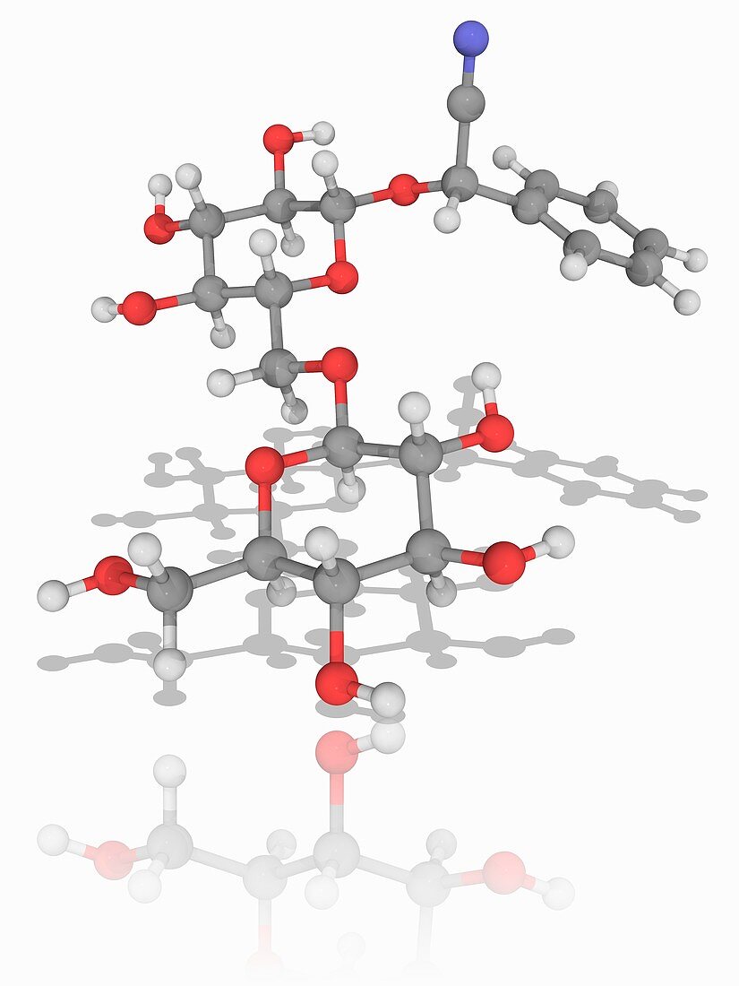 Amygdalin organic compound molecule