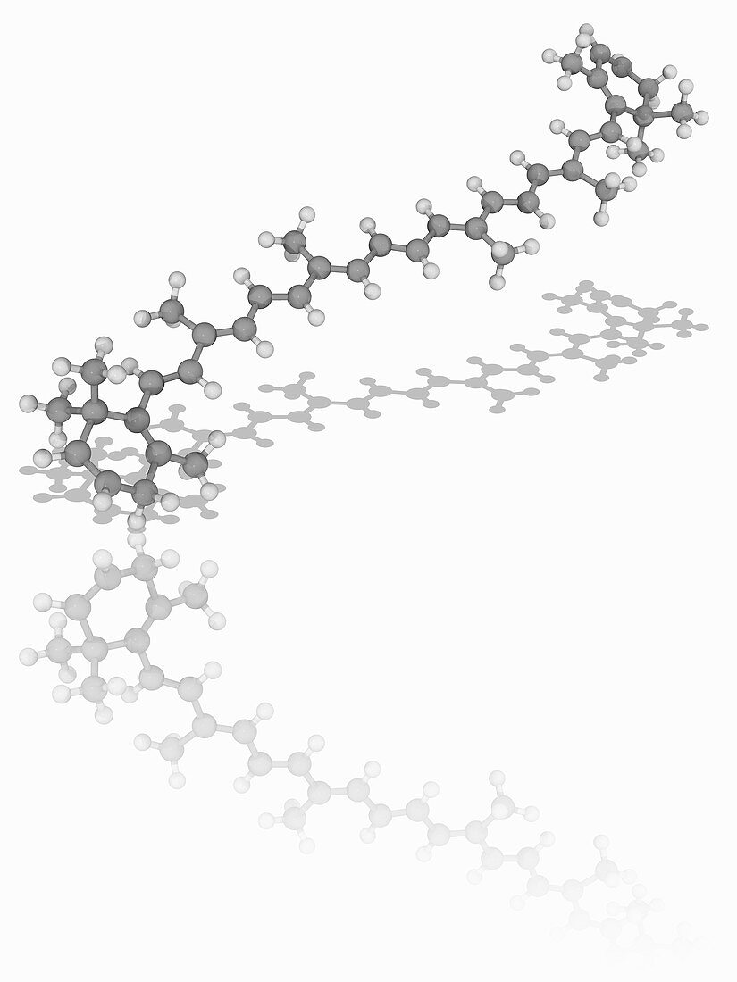 beta-Carotene organic compound molecule