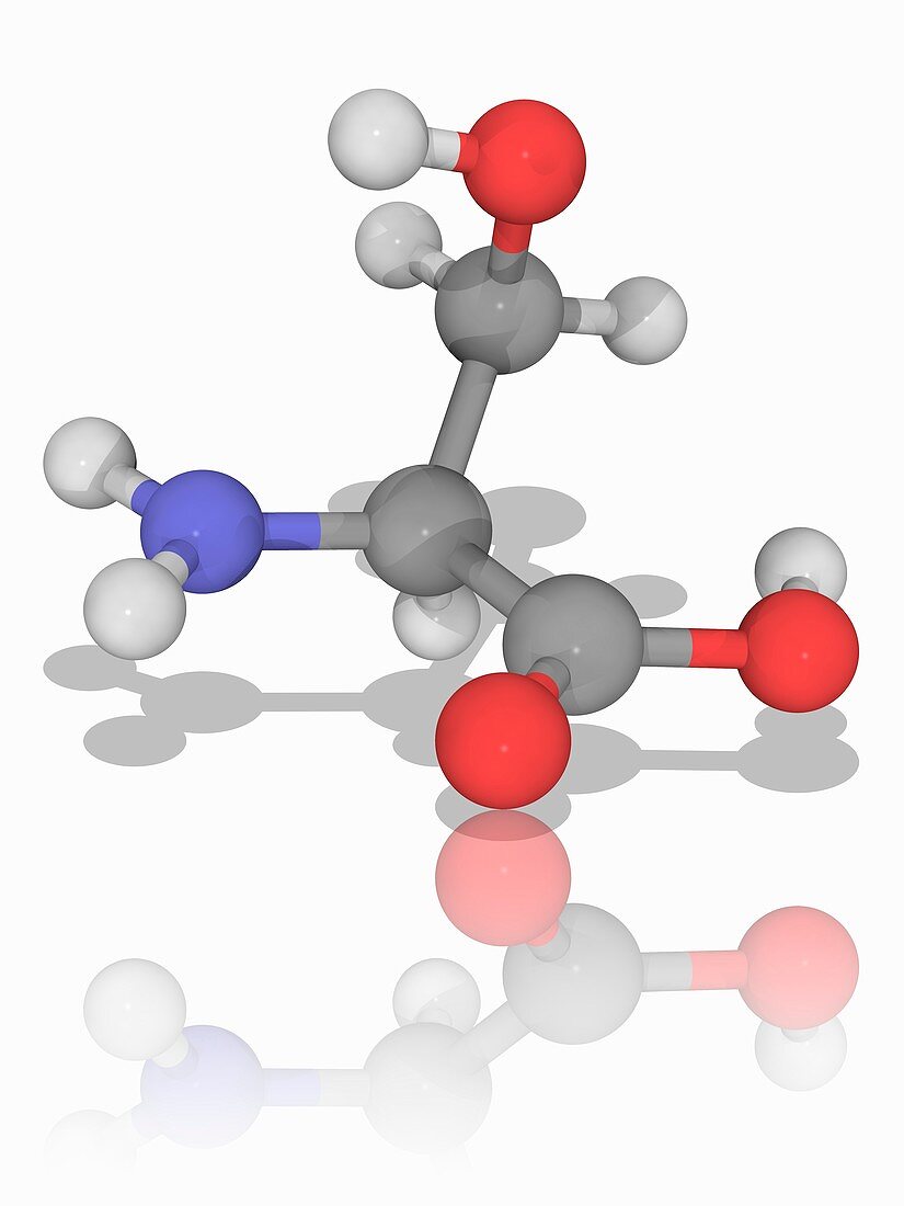 Serine organic compound molecule