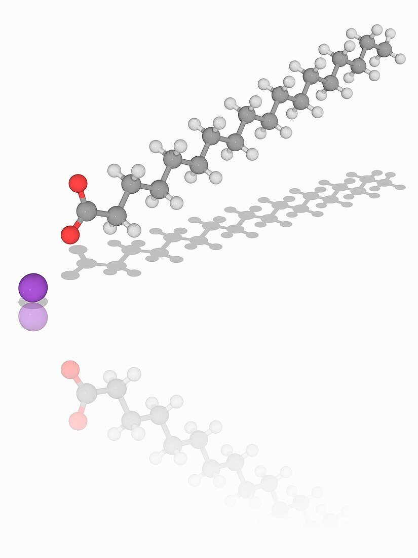 Sodium stearate organic compound molecule