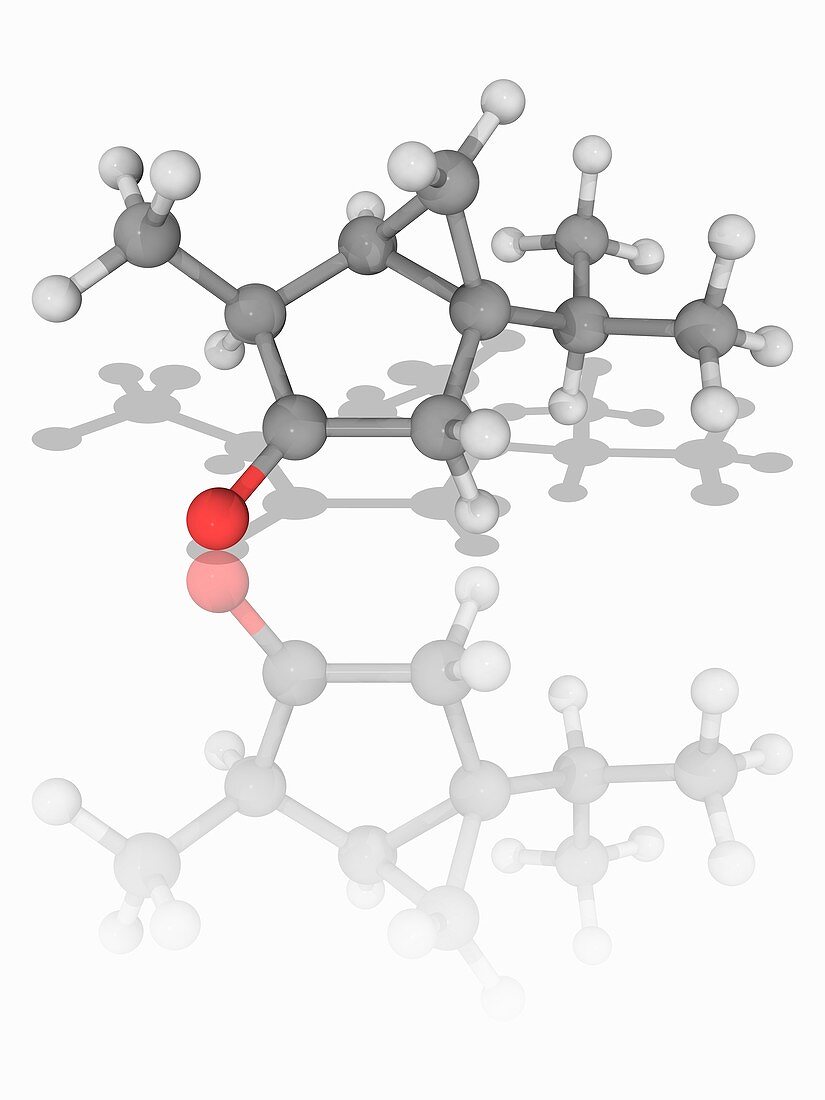 Thujone organic compound molecule