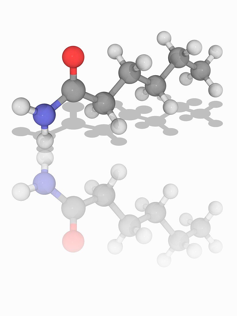 Hexanamide (capronamide) molecule