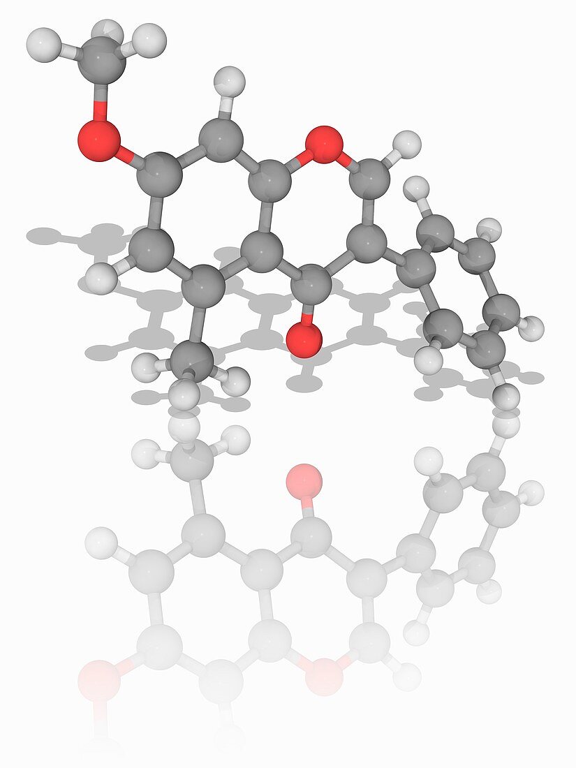 Methoxyisoflavone organic compound molecule