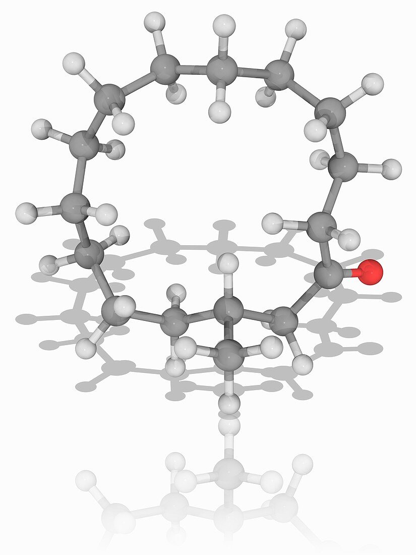 Muscone organic compound molecule