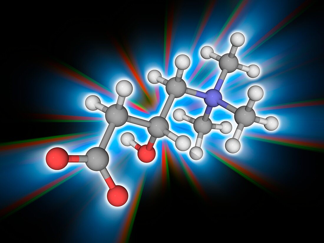 Carnitine organic compound molecule