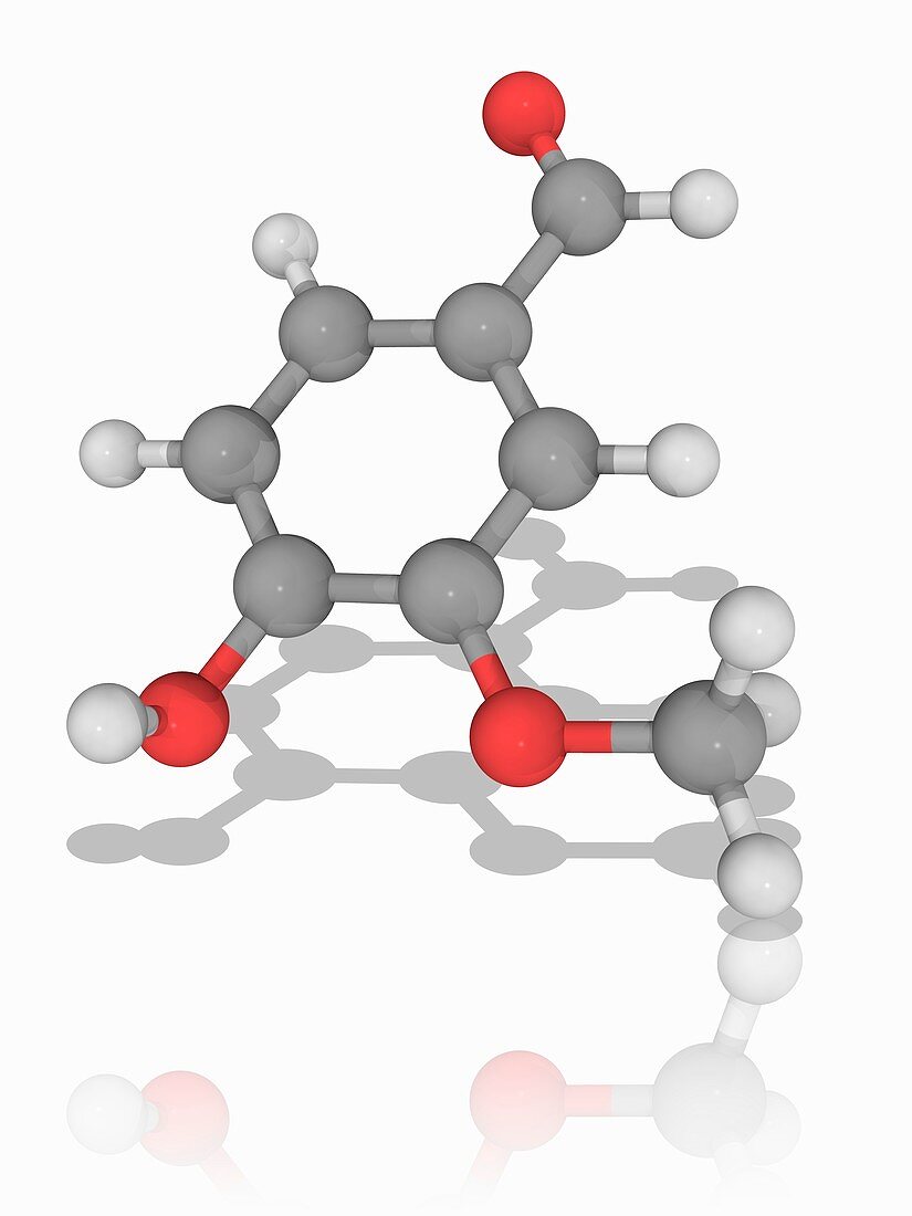 Vanillin organic compound molecule