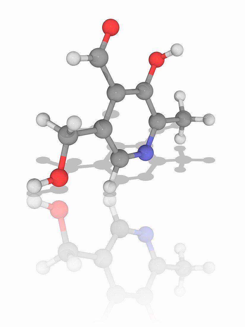Vitamin B6 (pyridoxal) organic compound molecule