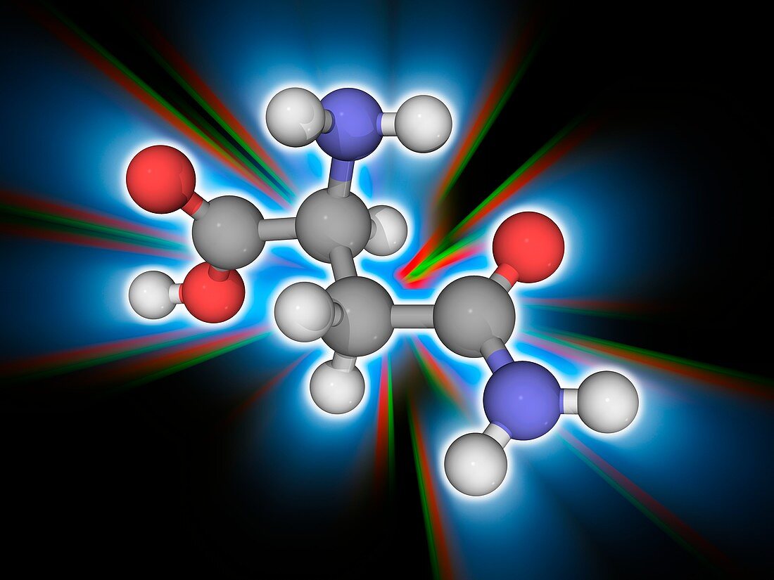 Asparagine organic compound molecule