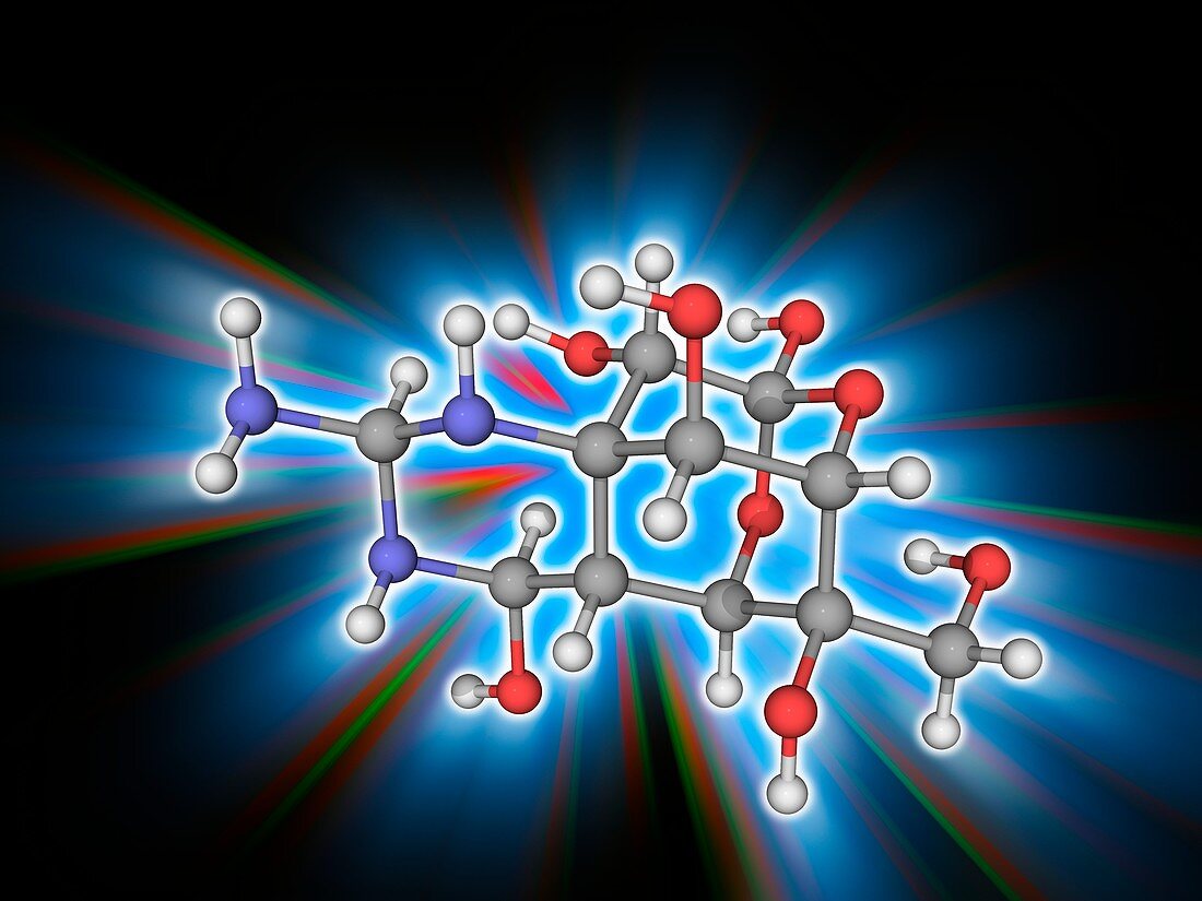 Tetrodotoxin (TTX) neurotoxin molecule