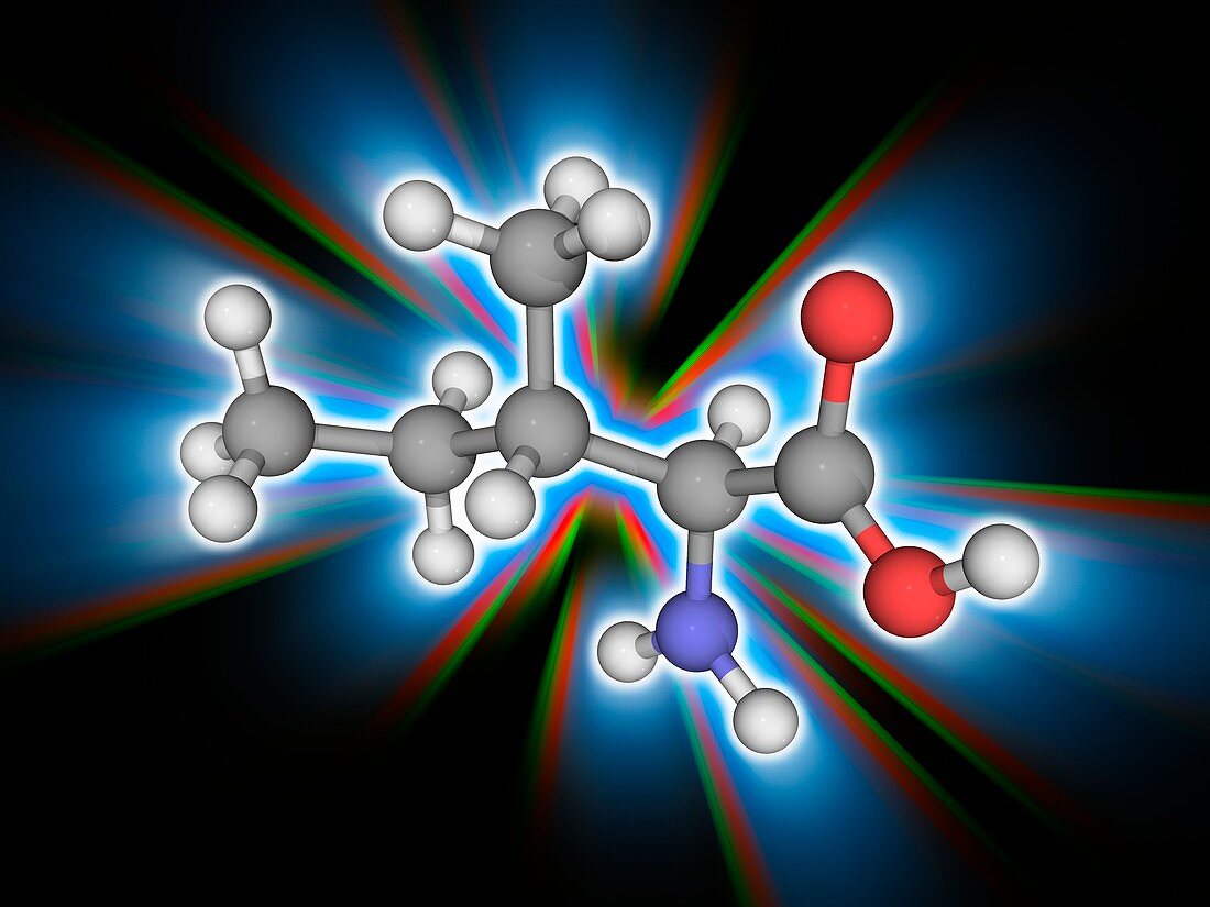 Isoleucine organic compound molecule