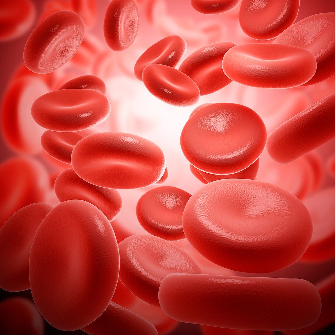 Red blood cells, illustration