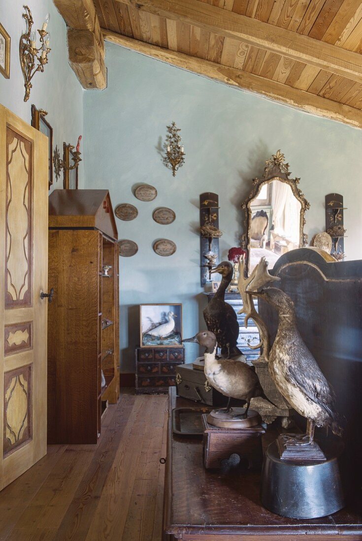 Stuffed birds in bedroom with pale blue wall