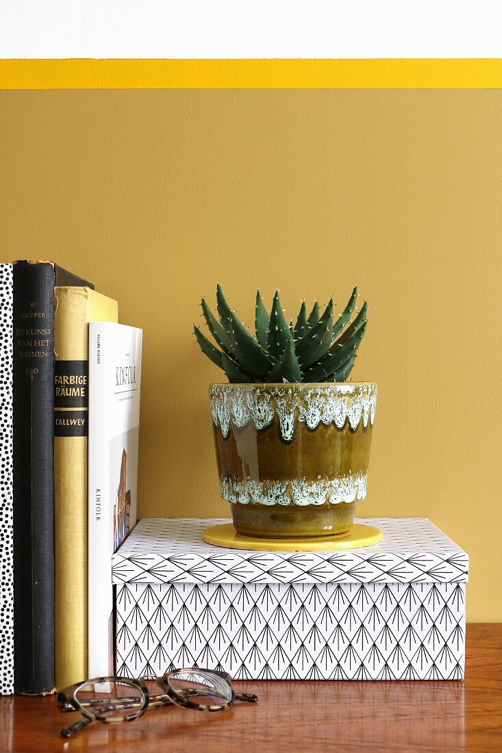 Aloe vera in retro pot against mustard-yellow wall