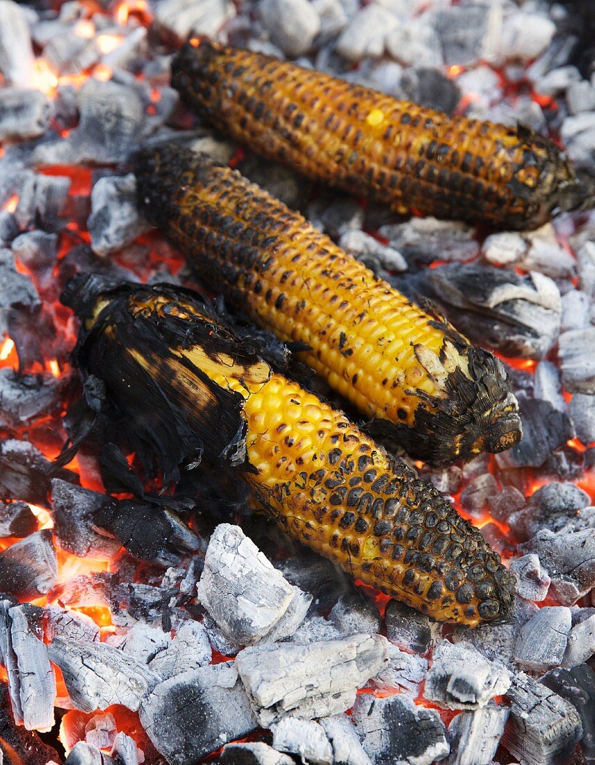 BBQ Yellow Corn