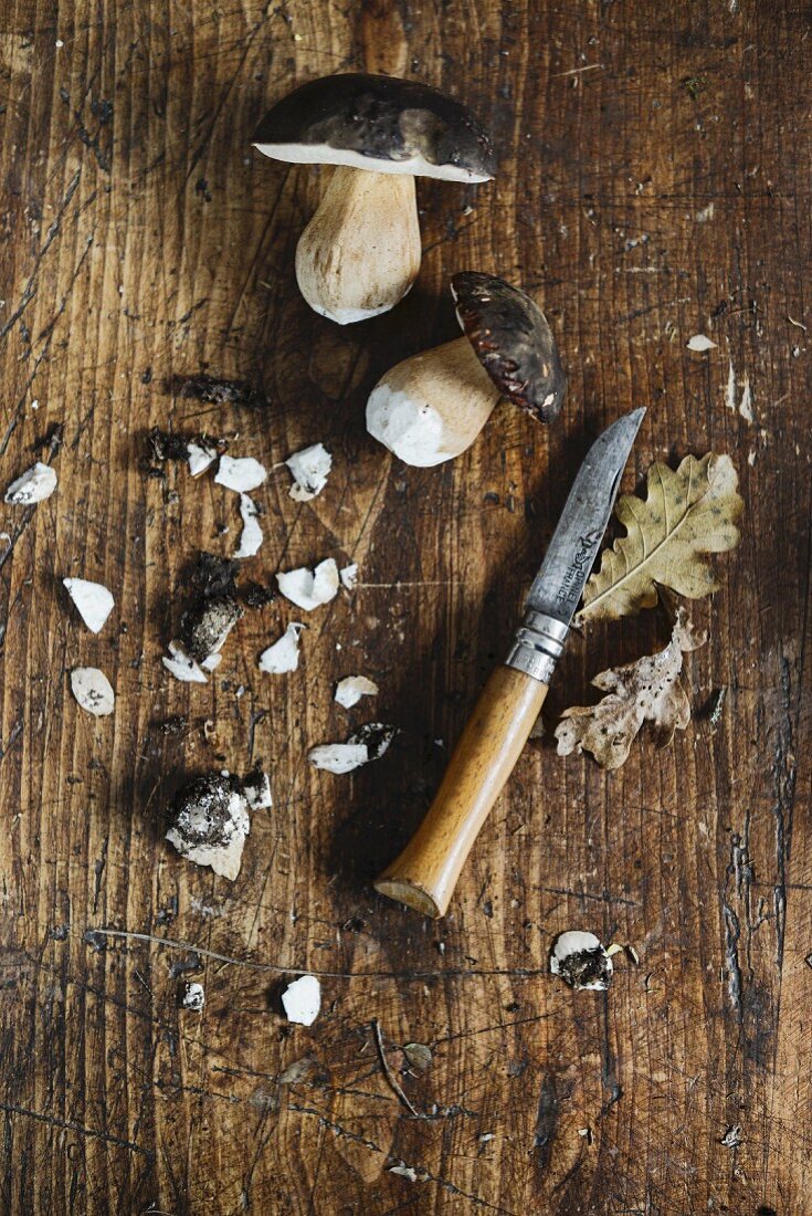 Fresh porcini mushrooms with a knife on a wooden background