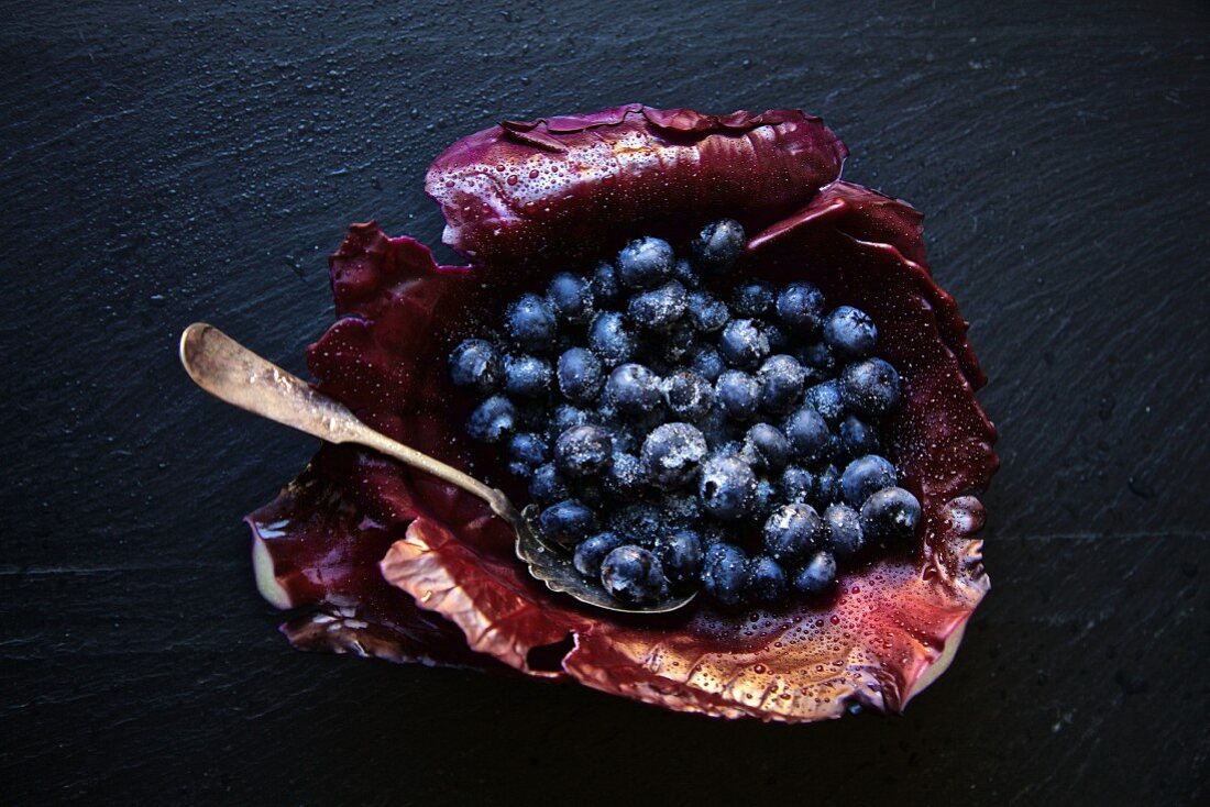 Organic blueberries served in a red cabbage leaf with white sugar on a black slate stone