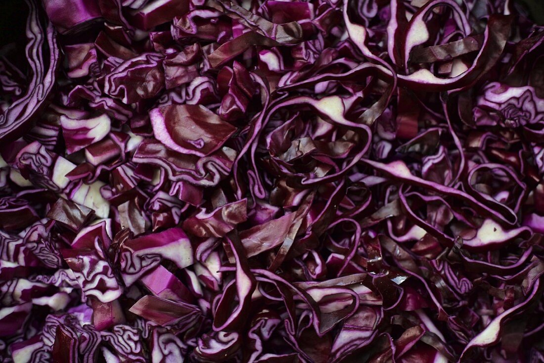 Kleingeschnittener Rotkohl (bildfüllend)