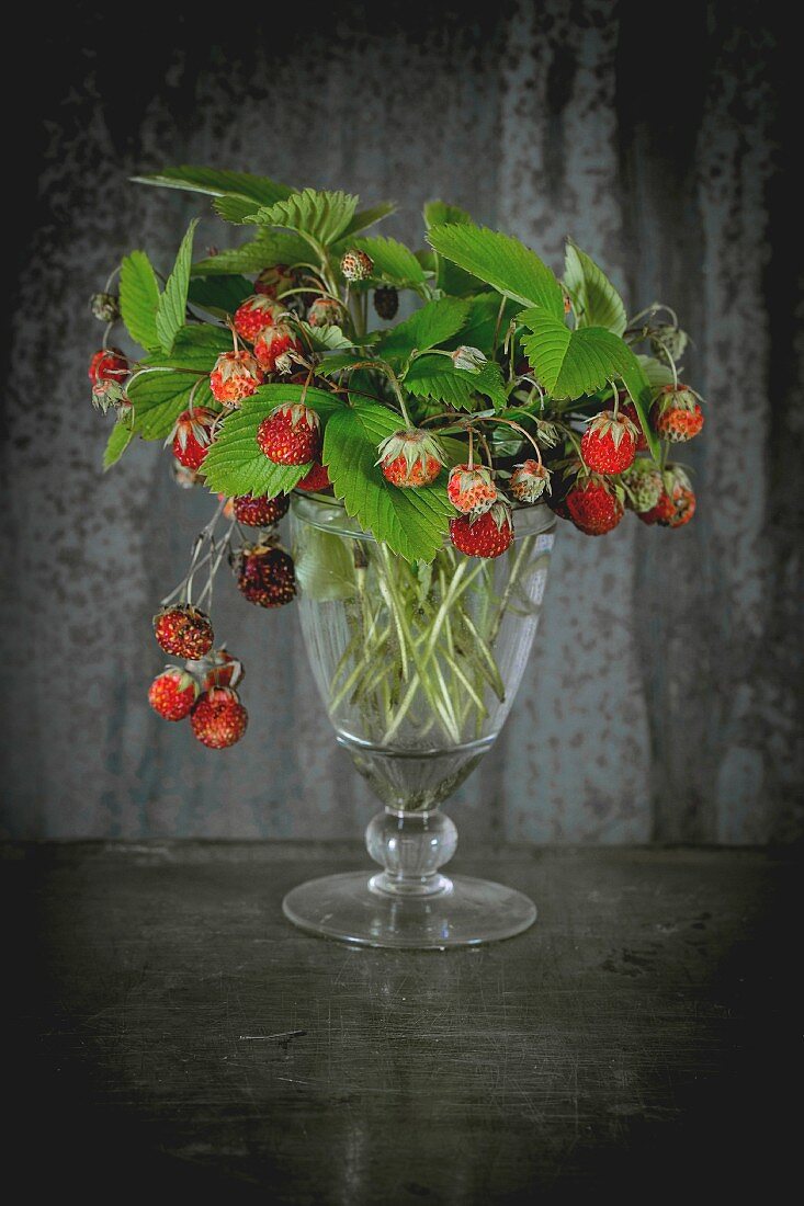 Bunch of ripe wild strawberries with leaves in vintage glass over old metal background
