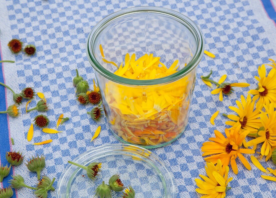 Ansatz für selbstgemachtes Ringelblumenöl im Weckglas